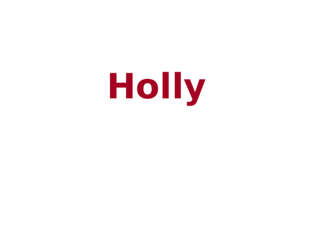 Holly 