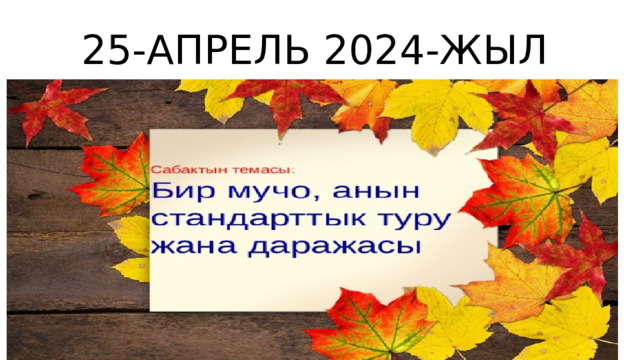 25-АПРЕЛЬ 2024-ЖЫЛ 