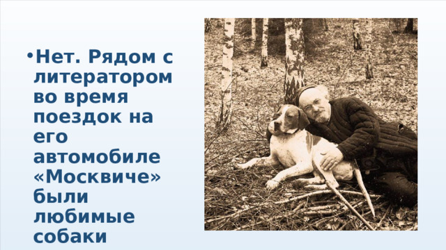 Нет. Рядом с литератором во время поездок на его автомобиле «Москвиче» были любимые собаки 
