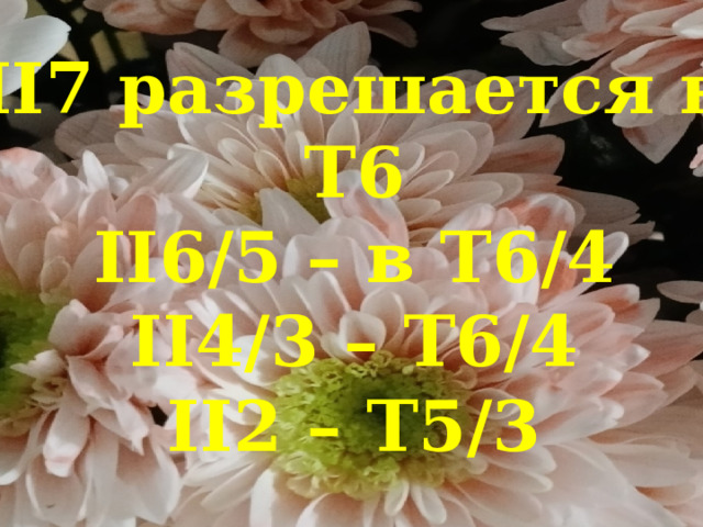  II7 разрешается в Т6  II6/5 – в Т6/4  II4/3 – Т6/4  II2 – Т5/3   