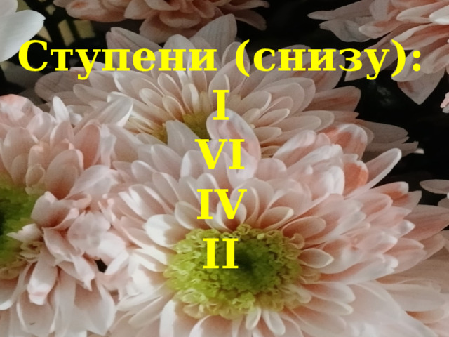 Ступени (снизу):  I  VI  IV  II    