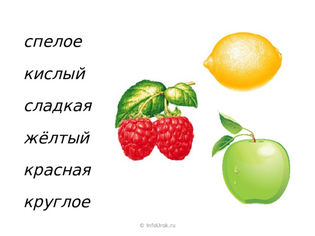 спелое кислый сладкая жёлтый красная круглое © InfoUrok.ru 