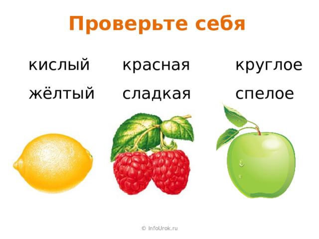 Проверьте себя кислый жёлтый красная сладкая круглое спелое © InfoUrok.ru 