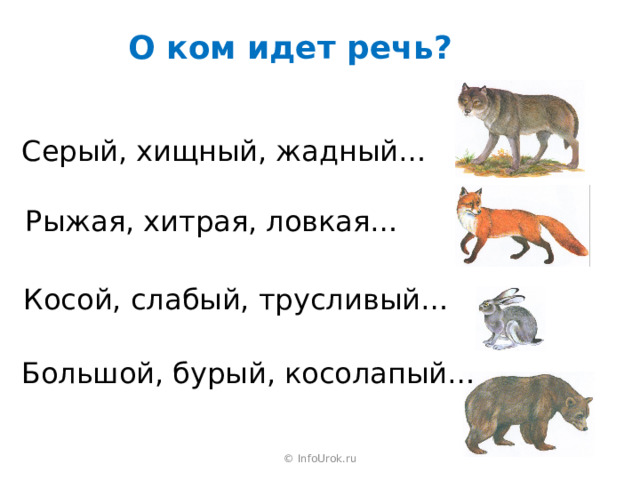 О ком идет речь? Серый, хищный, жадный… Рыжая, хитрая, ловкая… Косой, слабый, трусливый… Большой, бурый, косолапый… © InfoUrok.ru 