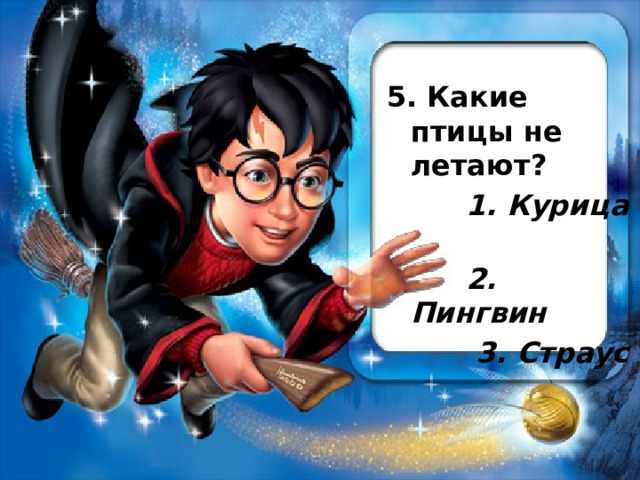 5. Какие птицы не летают?  1. Курица  2. Пингвин  3. Страус 