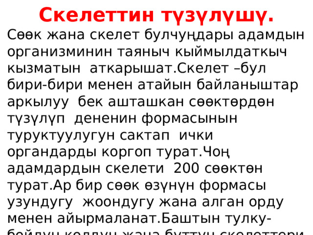 Скелеттин түзүлүшү. Сөөк жана скелет булчуңдары адамдын организминин таяныч кыймылдаткыч кызматын аткарышат.Скелет –бул бири-бири менен атайын байланыштар аркылуу бек ашташкан сөөктөрдөн түзүлүп дененин формасынын туруктуулугун сактап ички органдарды коргоп турат.Чоң адамдардын скелети 200 сөөктөн турат.Ар бир сөөк өзүнүн формасы узундугу жоондугу жана алган орду менен айырмаланат.Баштын тулку-бойдун колдун жана буттун скелеттери анын негизги бөлүмдөрү болуп эсептелет. 