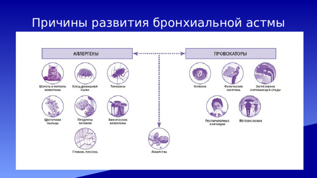 Причины развития бронхиальной астмы 