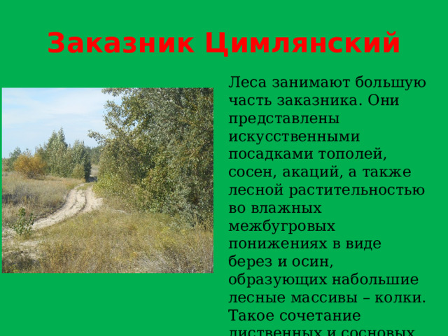 Заказник Цимлянский Леса занимают большую часть заказника. Они представлены искусственными посадками тополей, сосен, акаций, а также лесной растительностью во влажных межбугровых понижениях в виде берез и осин, образующих набольшие лесные массивы – колки. Такое сочетание лиственных и сосновых лесов и придает заказнику особую живописность и неповторимость . 