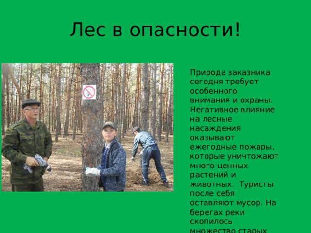 Лес в опасности! Природа заказника сегодня требует особенного внимания и охраны. Негативное влияние на лесные насаждения оказывают ежегодные пожары, которые уничтожают много ценных растений и животных. Туристы после себя оставляют мусор. На берегах реки скопилось множество старых рыболовных сетей. 