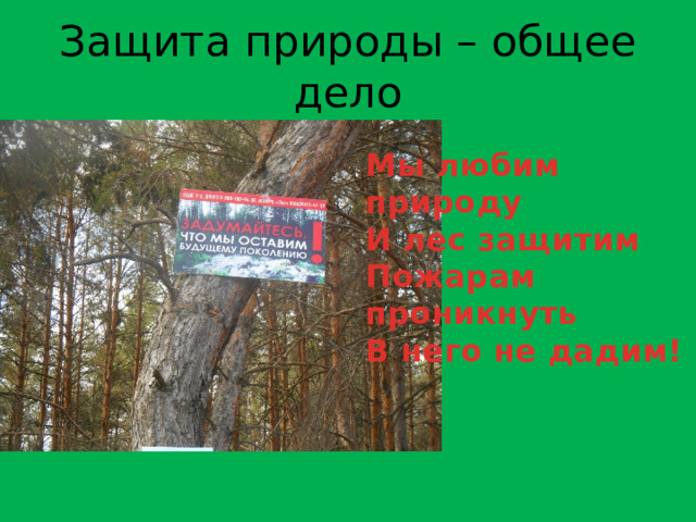 Защита природы – общее дело Мы любим природу И лес защитим Пожарам проникнуть В него не дадим! 
