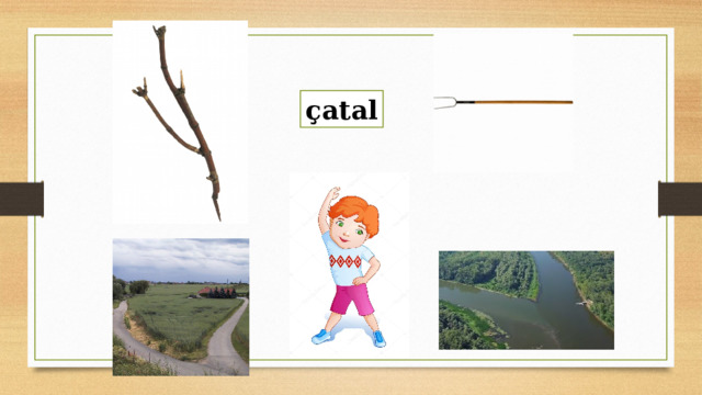 çatal 