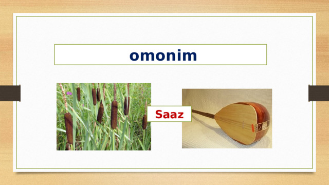  omonim Saaz 