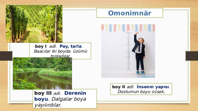 Omonimnär boy I  adl.    Pay, tarla . Baacılar iki boyda üzümü topladılar. boy II adl.   İnsanın yapısı . Dostumun boyu üüsek. boy III  adl .   Derenin boyu . Dalgalar boya yayılırdılar. 