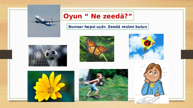 Oyun “ Ne zeed ä?” Bunnar hepsi uçêr. Zeed ä resimi bulun 