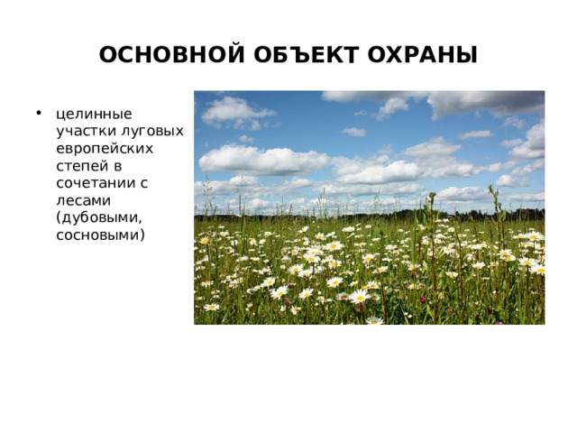 ОСНОВНОЙ ОБЪЕКТ ОХРАНЫ целинные участки луговых европейских степей в сочетании с лесами (дубовыми, сосновыми) 