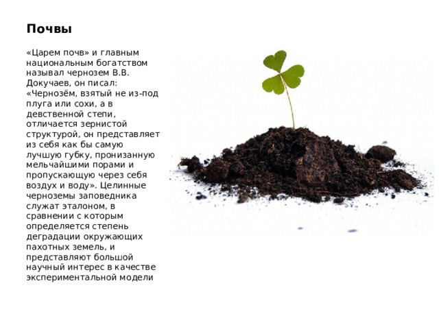 Почвы «Царем почв» и главным национальным богатством называл чернозем В.В. Докучаев, он писал: «Чернозём, взятый не из-под плуга или сохи, а в девственной степи, отличается зернистой структурой, он представляет из себя как бы самую лучшую губку, пронизанную мельчайшими порами и пропускающую через себя воздух и воду». Целинные черноземы заповедника служат эталоном, в сравнении с которым определяется степень деградации окружающих пахотных земель, и представляют большой научный интерес в качестве экспериментальной модели 