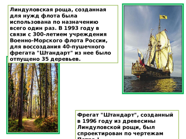 Линдуловская роща, созданная для нужд флота была использована по назначению всего один раз. В 1993 году в связи с 300-летием учреждения Военно-Морского флота России, для воссоздания 40-пушечного фрегата 