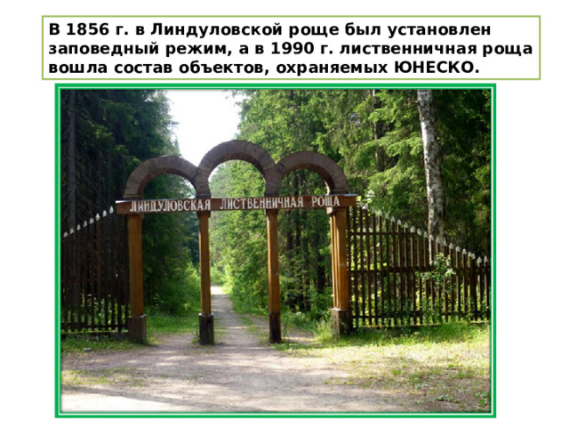 В 1856 г. в Линдуловской роще был установлен заповедный режим, а в 1990 г. лиственничная роща вошла состав объектов, охраняемых ЮНЕСКО. 