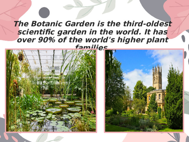 The Botanic Garden is the third-oldest scientific garden in the world. It has over 90% of the world's higher plant families. 