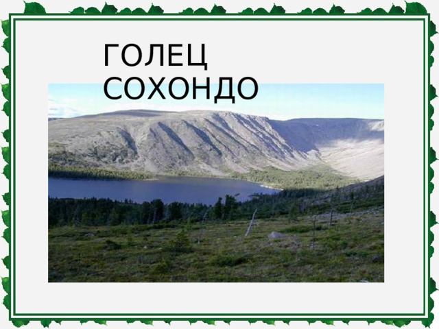 ГОЛЕЦ СОХОНДО 