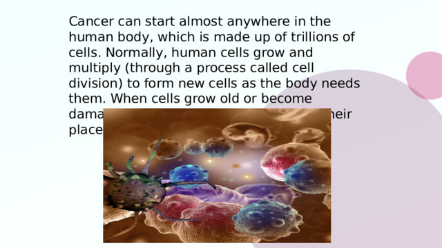 The Definition of Cancer