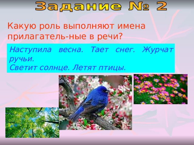 Какую роль выполняют имена прилагатель-ные в речи? Наступила весна. Тает снег. Журчат ручьи. Светит солнце. Летят птицы. 