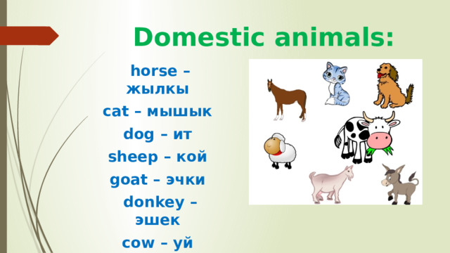 Domestic animals: horse – жылкы cat – мышык dog – ит sheep – кой goat – эчки donkey – эшек cow – уй 