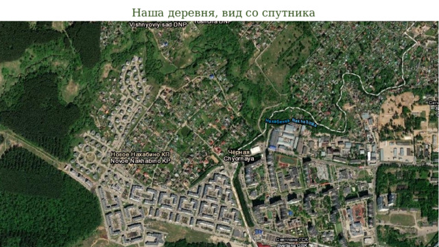 Наша деревня, вид со спутника 