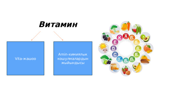   Витамин         Vita-жашоо Amin-химиялык кошулмалардын жыйындысы 