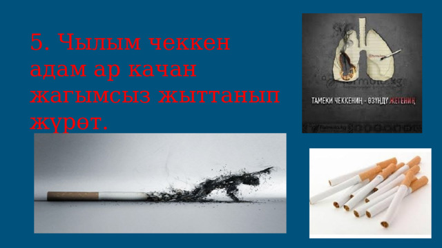 5. Чылым чеккен адам ар качан жагымсыз жыттанып жүрөт. 