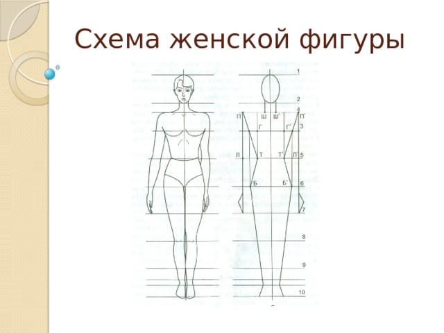 Схема женской фигуры 