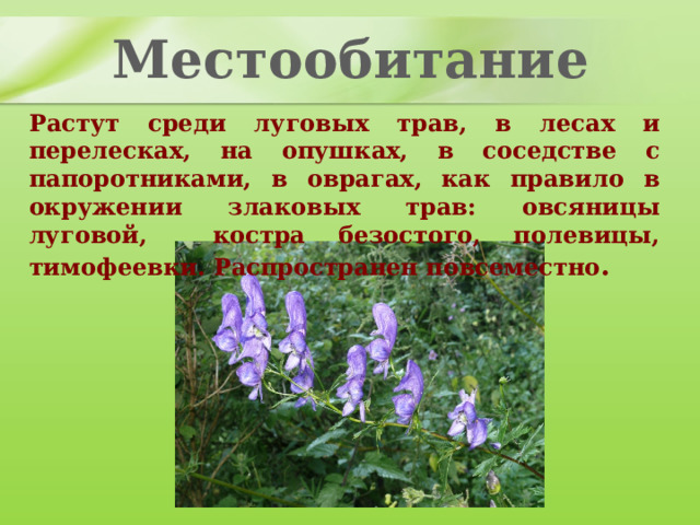 Местообитание Растут среди луговых трав, в лесах и перелесках, на опушках, в соседстве с папоротниками, в оврагах, как правило в окружении злаковых трав: овсяницы луговой, костра безостого, полевицы, тимофеевки. Распространен повсеместно . 