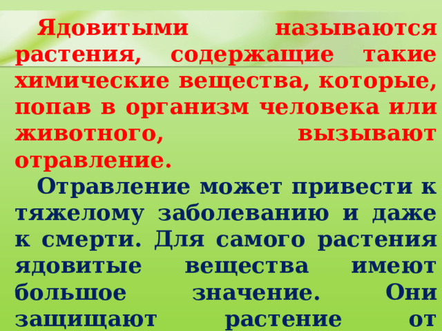 Ядовитыми называются растения, содержащие такие химические вещества, которые, попав в организм человека или животного, вызывают отравление.  Отравление может привести к тяжелому заболеванию и даже к смерти. Для самого растения ядовитые вещества имеют большое значение. Они защищают растение от животных, которые могли бы съесть его стебли, листья, корни или семена. 