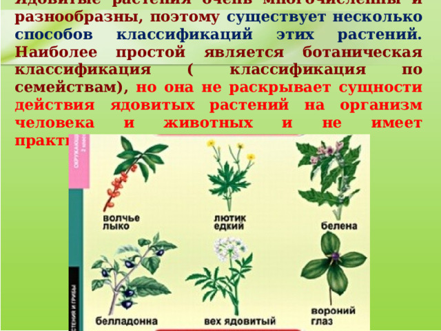 Ядовитые растения очень многочисленны и разнообразны, поэтому существует несколько способов классификаций этих растений. Наиболее простой является ботаническая классификация ( классификация по семействам), но она не раскрывает сущности действия ядовитых растений на организм человека и животных и не имеет практического значения. 