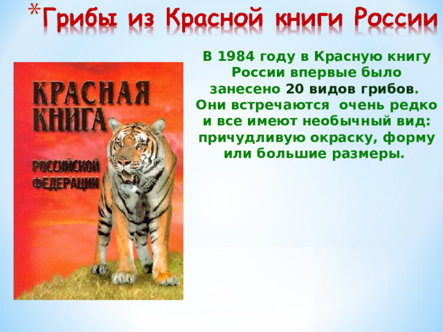 В 1984 году в Красную книгу России впервые было занесено 20 видов грибов .  Они встречаются очень редко и все имеют необычный вид: причудливую окраску, форму или большие размеры. 