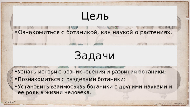 Цель Ознакомиться с ботаникой, как наукой о растениях. Задачи Узнать историю возникновения и развития ботаники; Познакомиться с разделами ботаники; Установить взаимосвязь ботаники с другими науками и ее роль в жизни человека. 