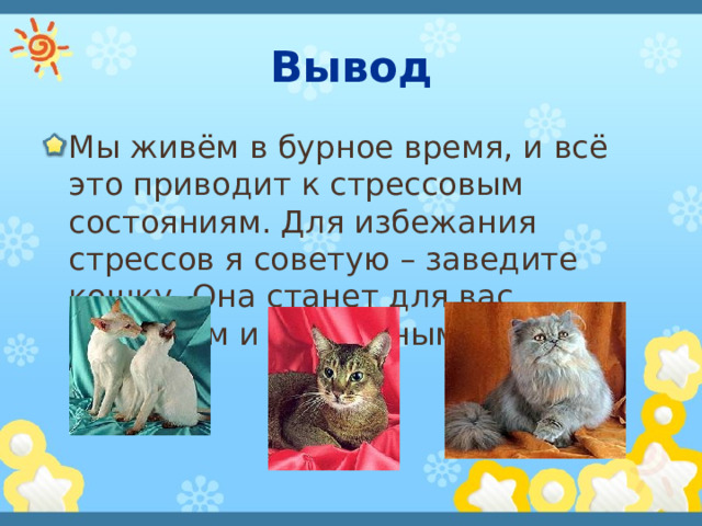 Вывод Мы живём в бурное время, и всё это приводит к стрессовым состояниям. Для избежания стрессов я советую – заведите кошку. Она станет для вас ласковым и преданным другом. 
