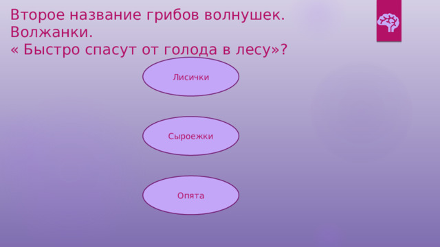 Второе название грибов волнушек. Волжанки. « Быстро спасут от голода в лесу»? Лисички Сыроежки Опята 