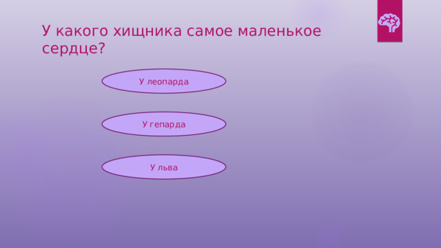 У какого хищника самое маленькое сердце? У леопарда У гепарда У льва 