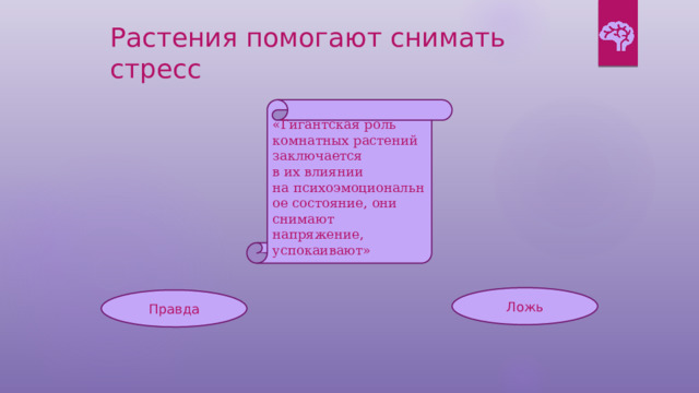 Растения помогают снимать стресс «Гигантская роль комнатных растений заключается в их влиянии на психоэмоциональное состояние, они снимают напряжение, успокаивают» Ложь Правда 