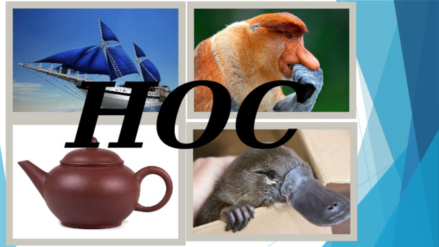 НОС 