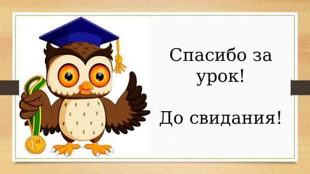Спасибо за урок! До свидания! 