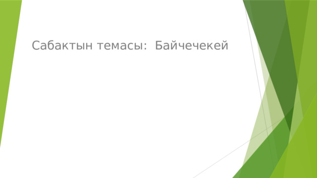 Сабактын темасы: Байчечекей 