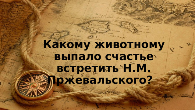 Какому животному выпало счастье встретить Н.М. Пржевальского? 