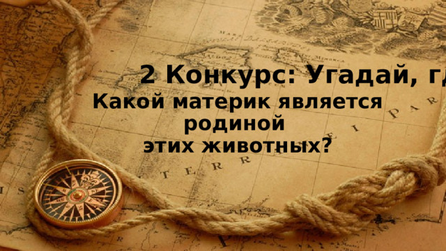 2 Конкурс: Угадай, где? Какой материк является родиной  этих животных ? 
