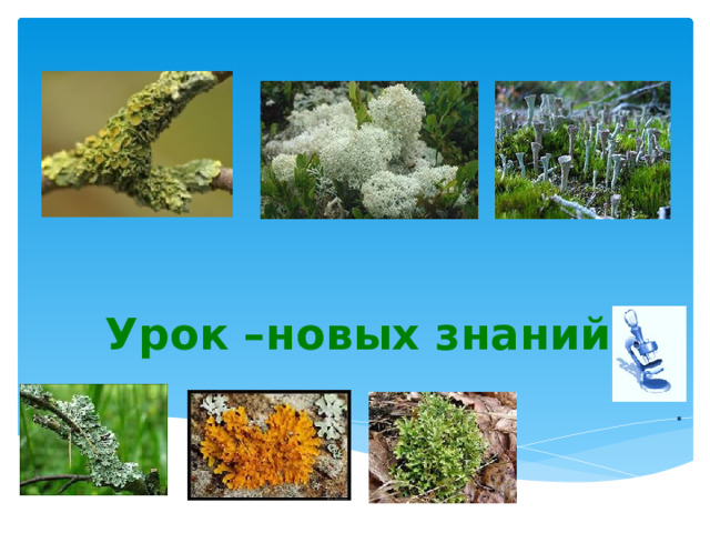 Урок –новых знаний .  