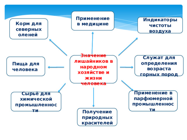 Применение в медицине Индикаторы чистоты воздуха Корм для северных оленей Служат для определения возраста горных пород Значение лишайников в народном хозяйстве и жизни человека Пища для человека Применение в парфюмерной промышленности Сырьё для химической промышленности Получение природных красителей 