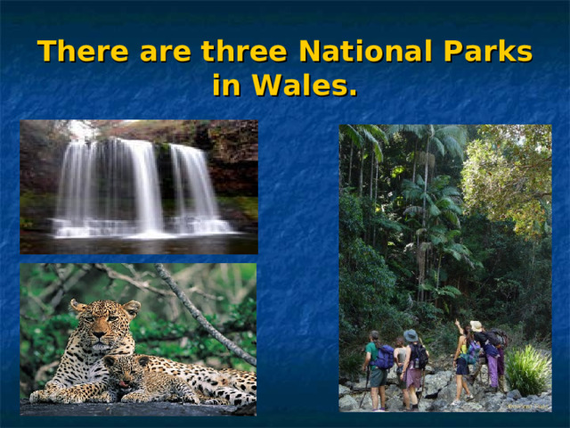 There are three National Parks in Wales. 