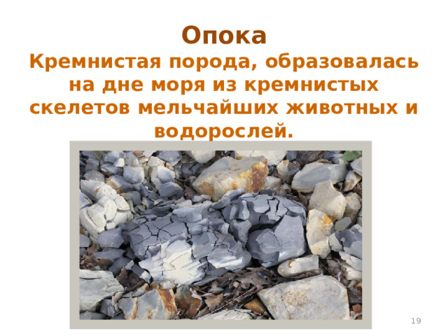 Опока  Кремнистая порода, образовалась на дне моря из кремнистых скелетов мельчайших животных и водорослей.  