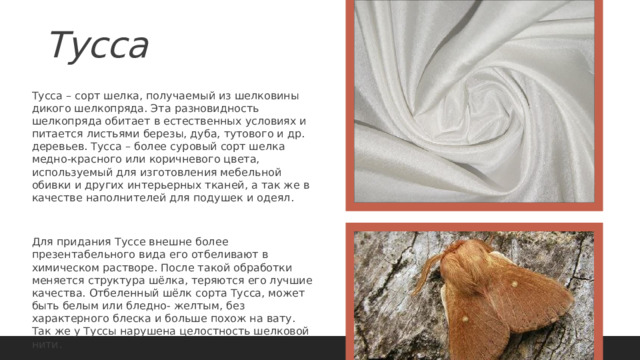 Тусса Тусса – сорт шелка, получаемый из шелковины дикого шелкопряда. Эта разновидность шелкопряда обитает в естественных условиях и питается листьями березы, дуба, тутового и др. деревьев. Тусса – более суровый сорт шелка медно-красного или коричневого цвета, используемый для изготовления мебельной обивки и других интерьерных тканей, а так же в качестве наполнителей для подушек и одеял. Для придания Туссе внешне более презентабельного вида его отбеливают в химическом растворе. После такой обработки меняется структура шёлка, теряются его лучшие качества. Отбеленный шёлк сорта Тусса, может быть белым или бледно- желтым, без характерного блеска и больше похож на вату. Так же у Туссы нарушена целостность шелковой нити. 